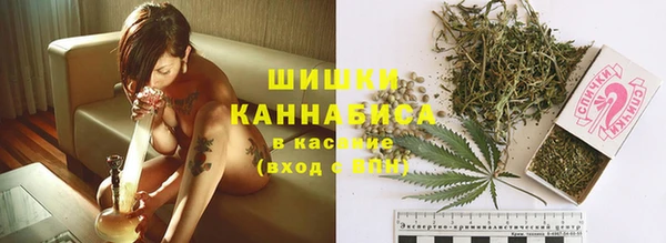 гидропоника Алзамай